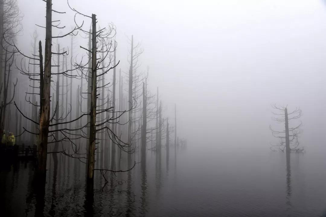 等疫情结束了和我一起去旅游吧,等疫情结束了我就带你去玩