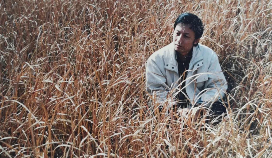 一生要走多少路才是终点,成功的人往往都不成功易中天