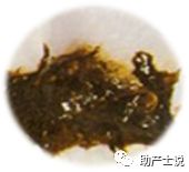 怎么判断婴儿大便是否正常,观察宝宝大便的知识