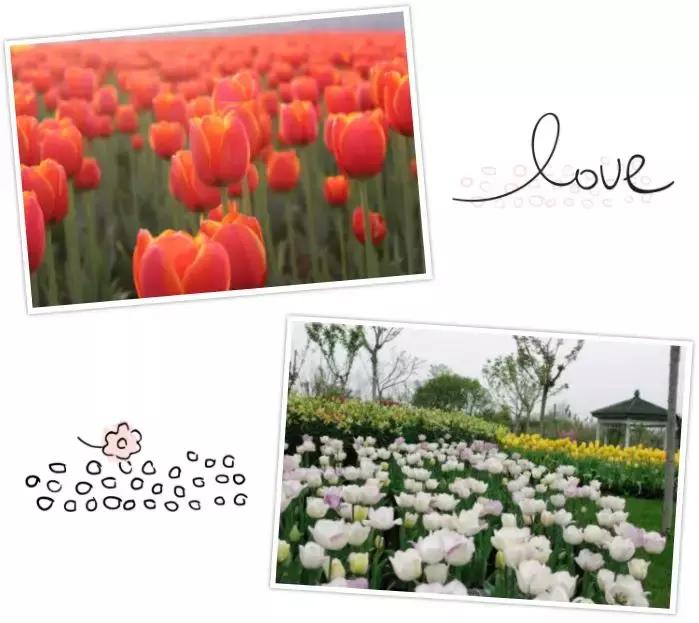 几十块钱玩一天,几十块钱玩一天天津