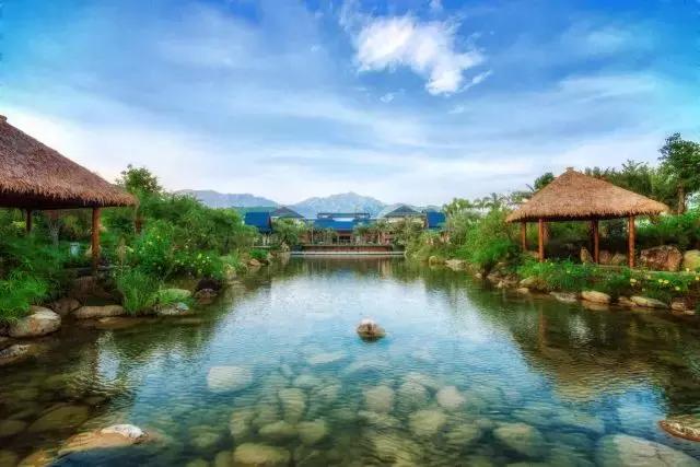 深汕生日快乐,深圳经济特区的生日