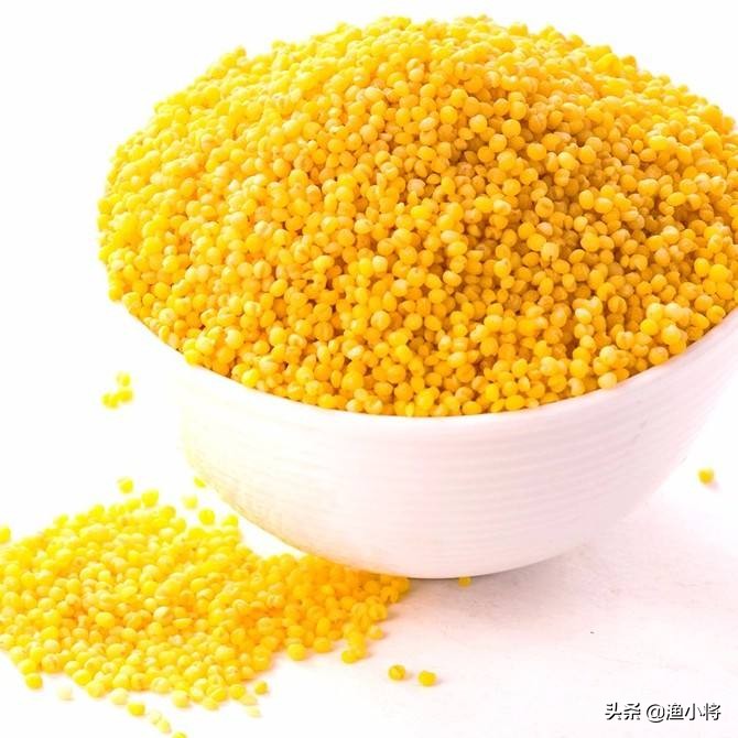 夏天用什么味型的酒米打窝,麝香味打窝酒米