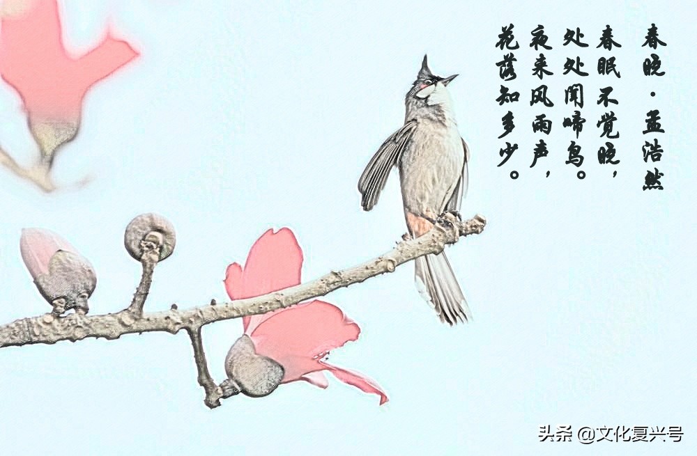 小学生唐诗必背75首有哪些,小学生必须会背的十首唐诗有哪些