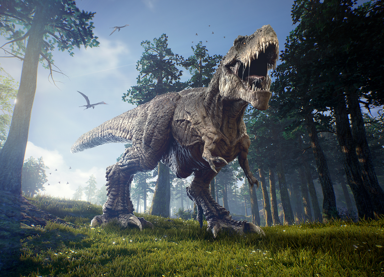 云南孔雀鸡,孔雀下蛋不愿孵蛋