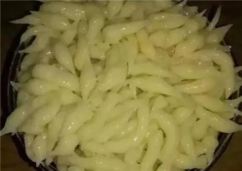 铔よ焼鍜曞槦浠嬬粛,铔よ焼鍜曞槦鏁欏瑙嗛