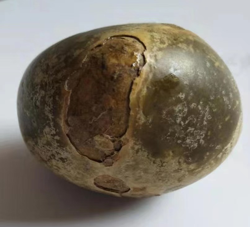 羊宝精品礼盒装,罕见精品羊宝图片