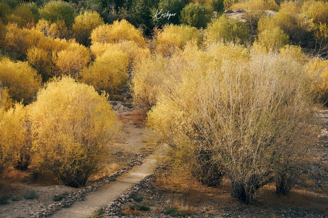 大美*疆新**，一个快递不包邮的地方，藏着不一样的异域风情
