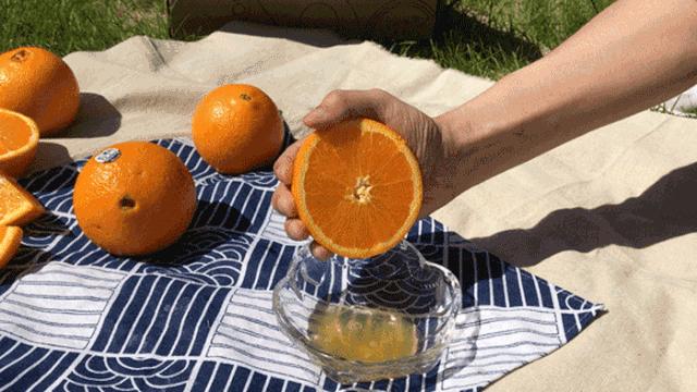 生鲜果蔬配送商城长春,全球顶级水果生鲜配送