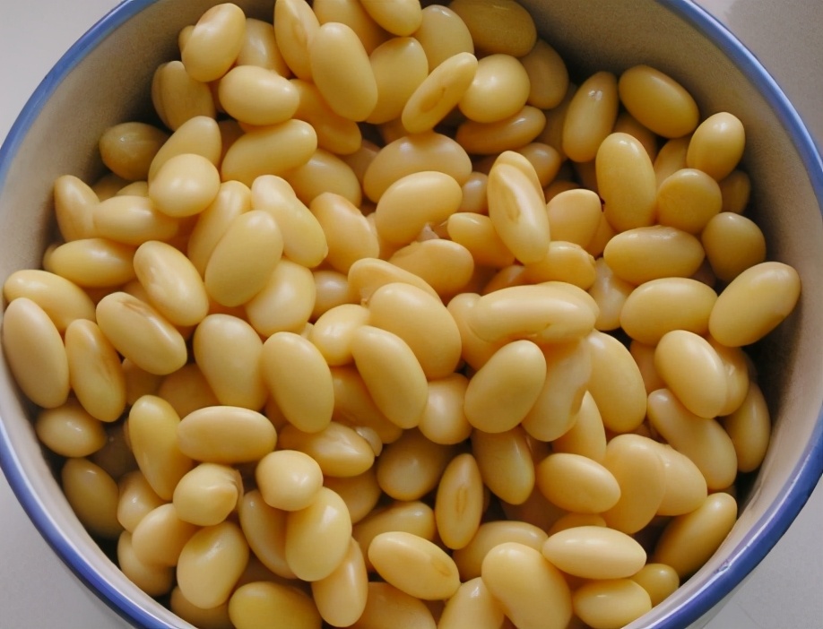 自制详细版纳豆做法,家庭自制纳豆制作方法