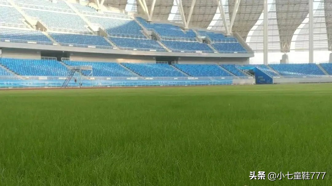 奥体中心维护,黄石奥体中心球场维护