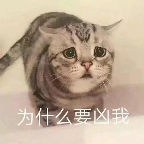 表情包你能亲亲我嘛,表情包你能拿我怎么办