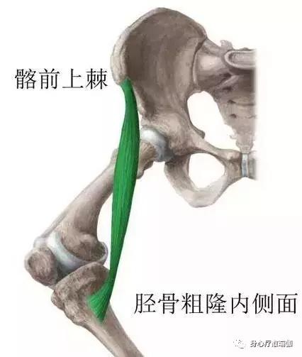 瑜伽莲花盘坐的功效,瑜伽为什么要练习莲花盘坐