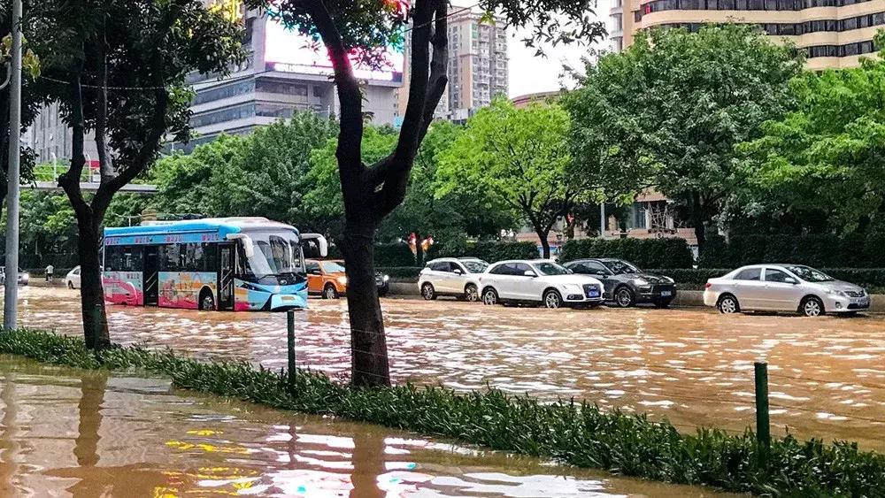 台风生存指南,台风天气的驾驶技巧