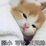 深圳社保失业补助金领取条件,2021年深圳失业保险金每月多少钱