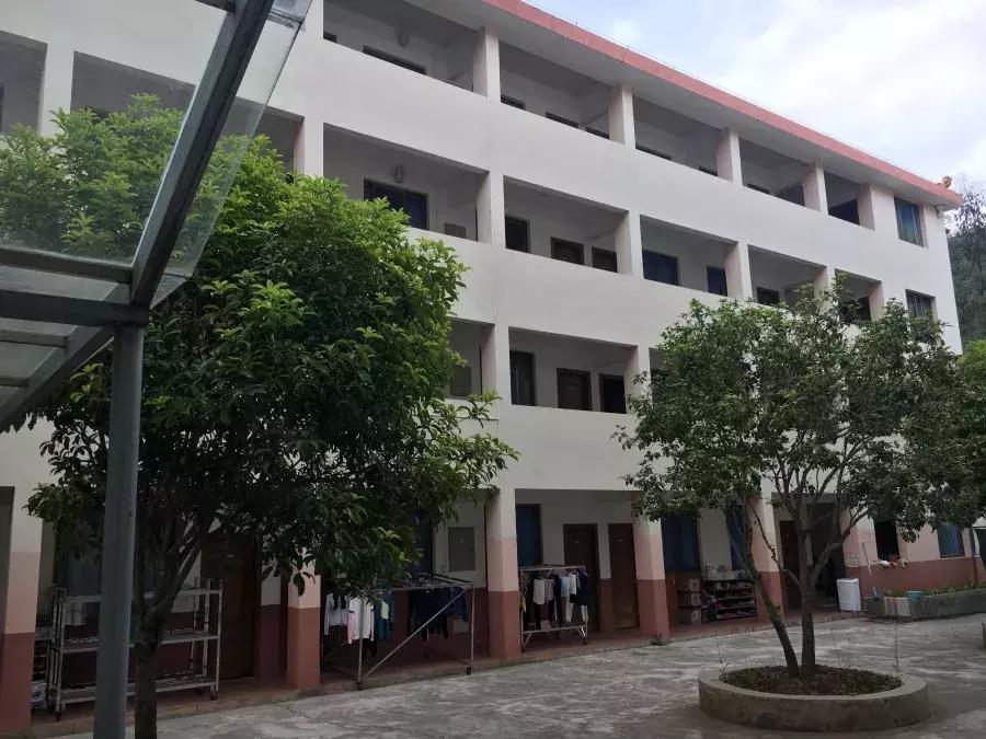 一整天忘记带手机是什么体验,24小时没有手机是什么体验