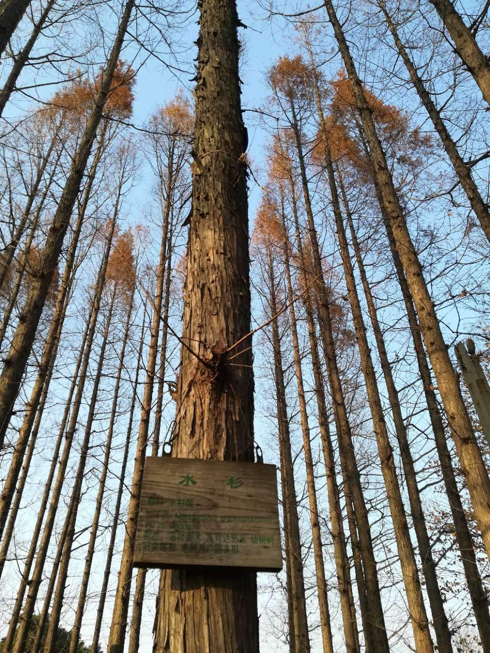 淮南湿地风光视频,淮南公园景点大全