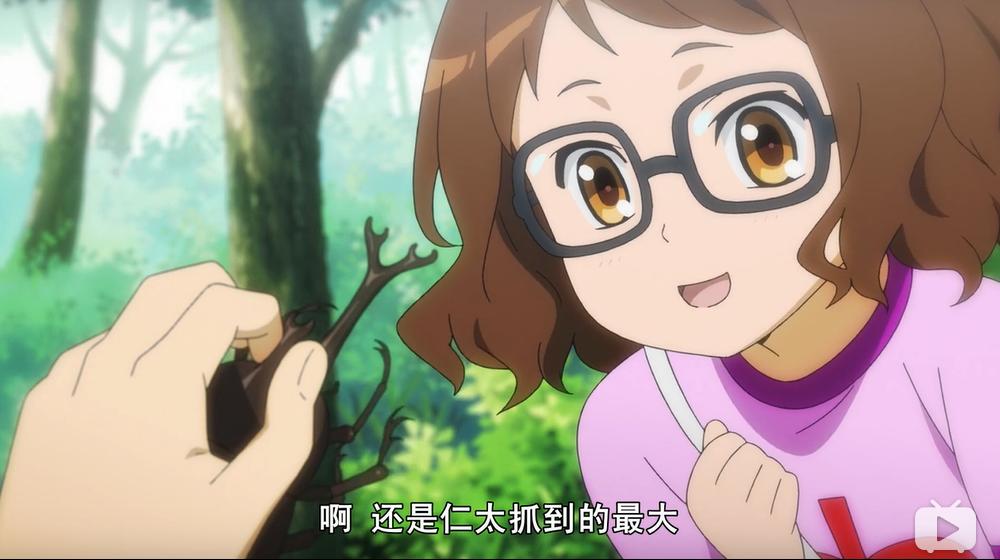 青春盛夏，是那朵花的季节——浅谈《未闻花名》