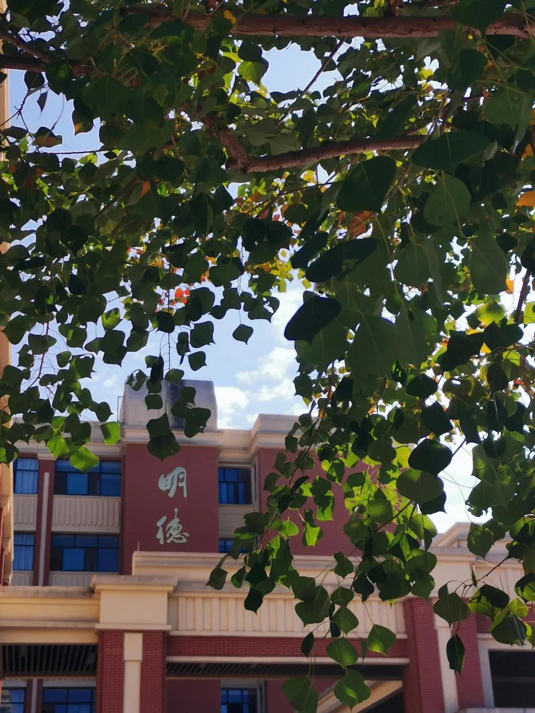 最美的风景美丽的校园,最美的风景就是校园