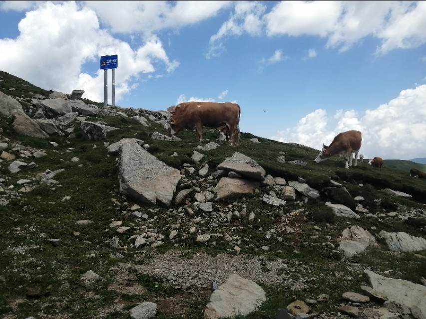 游览佛教圣地五台山,2022年五台山预约免费门票