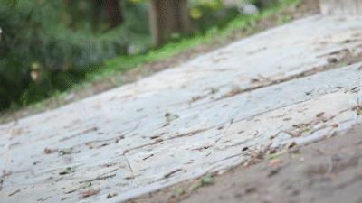 adidas三条杠运动鞋,adidas三条纹鞋舒适感