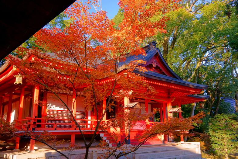 *拜参**过日本这些超灵验的恋爱神社，来年不再过“双十一”