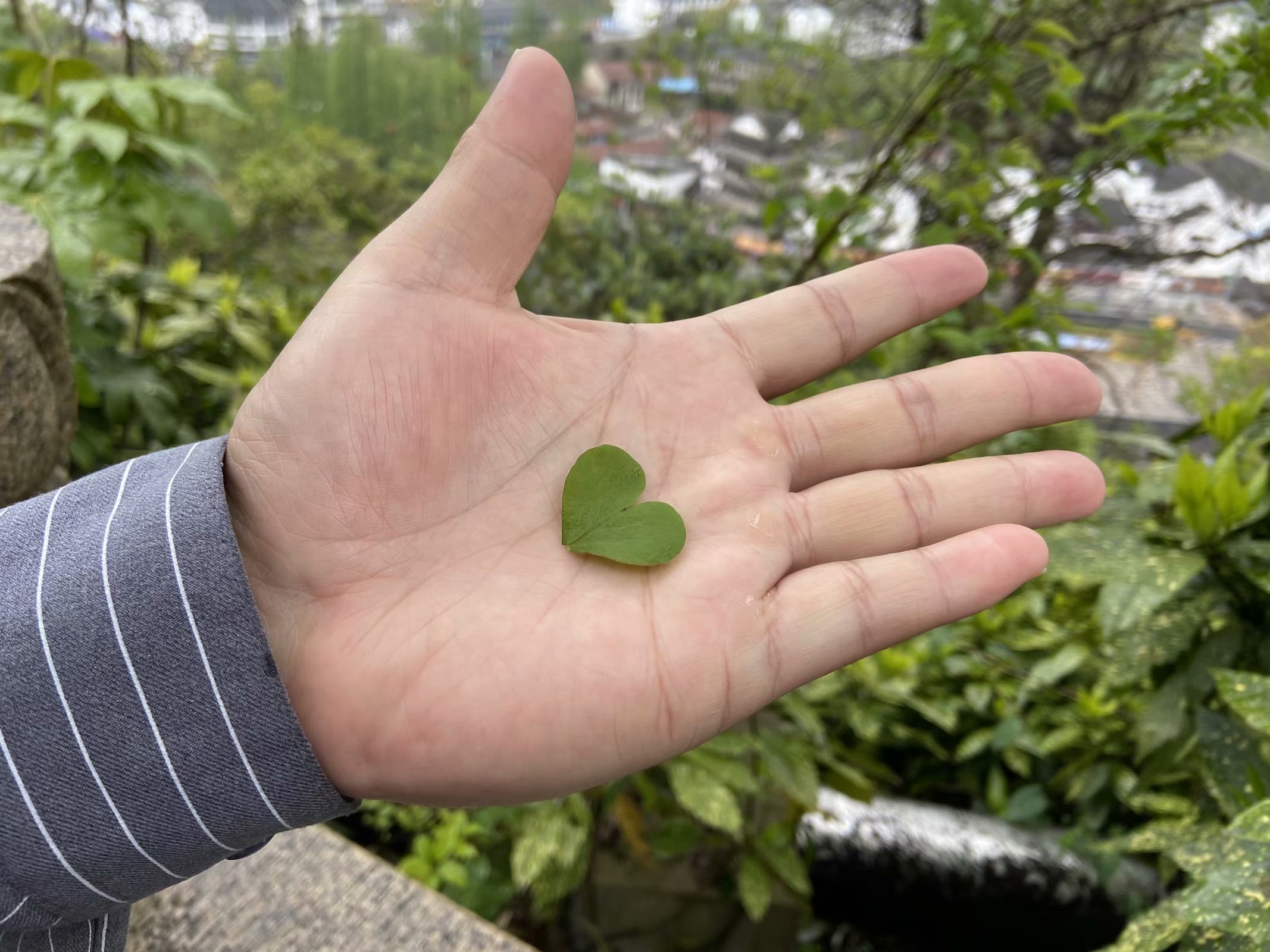 上海至长白山自驾攻略,上海出发至皖浙天路自驾游攻略