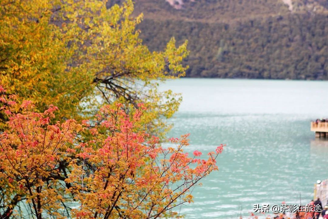 进藏旅行记,林芝巴松措结巴村民宿哪家好