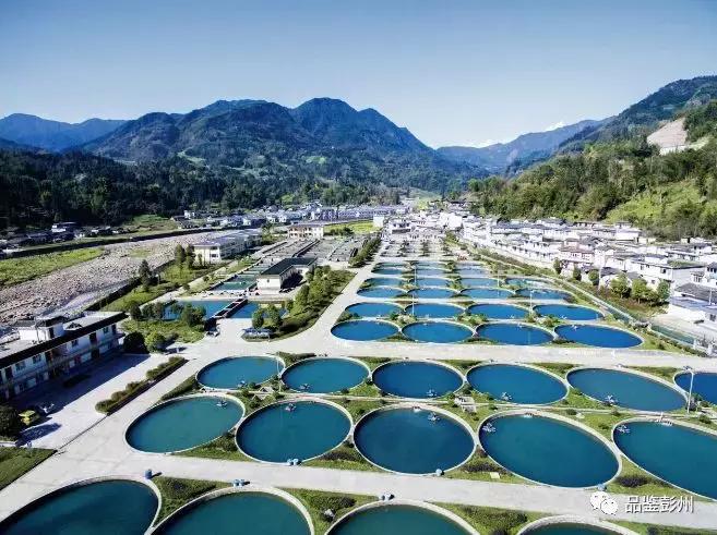 珍贵的鲟鱼子酱,顶级的鲟鱼子酱