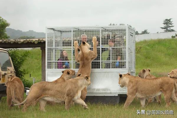 全球十大最受欢迎的野生动物园,伦敦十大动物园