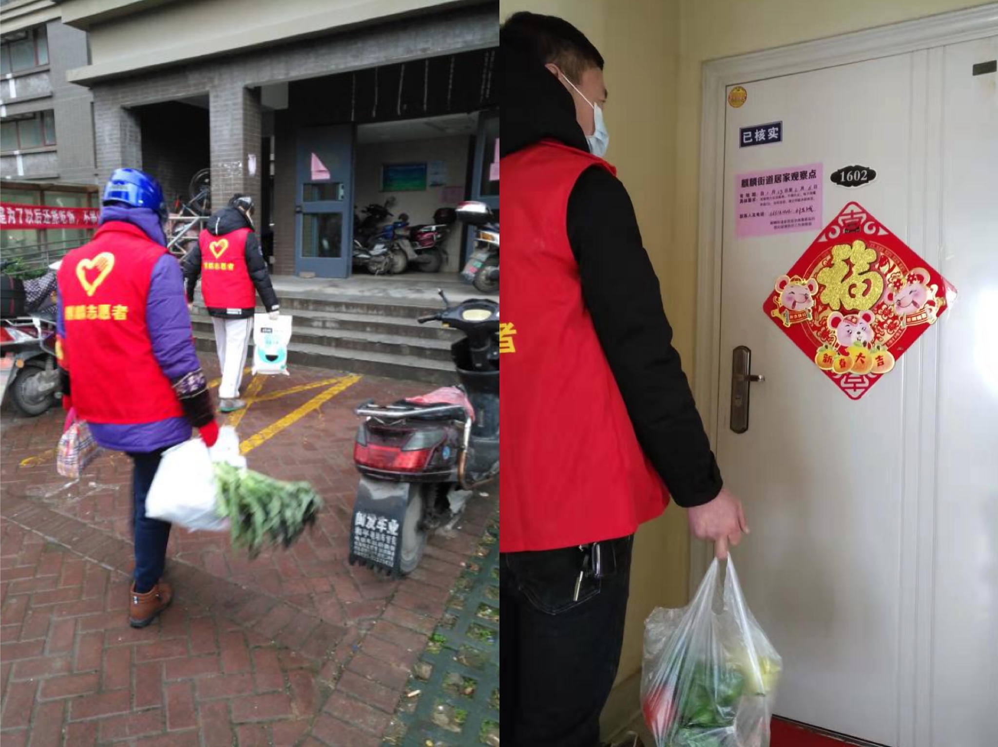 麒麟区组织志愿者,麒麟区招志愿者