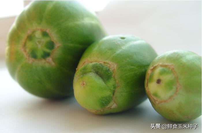 夏季蔬菜栽培高温的预防措施,各种茄果类蔬菜适宜的生长温度