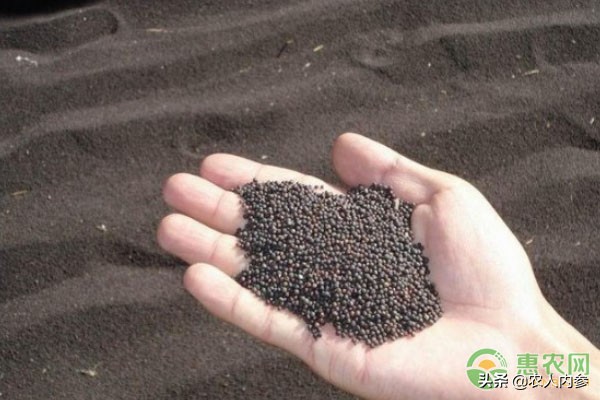 菜籽油花生油葵花籽油多少钱一斤,葵花籽菜籽油哪个价格高