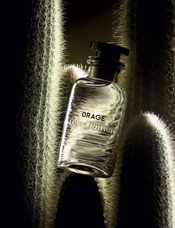 如何购买适合自己的相机？绝不含沙射影！我直接告诉你。