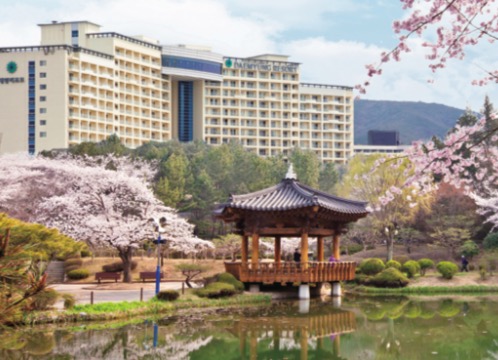 韩国大明山滑雪度假酒店,雪山温泉spa池