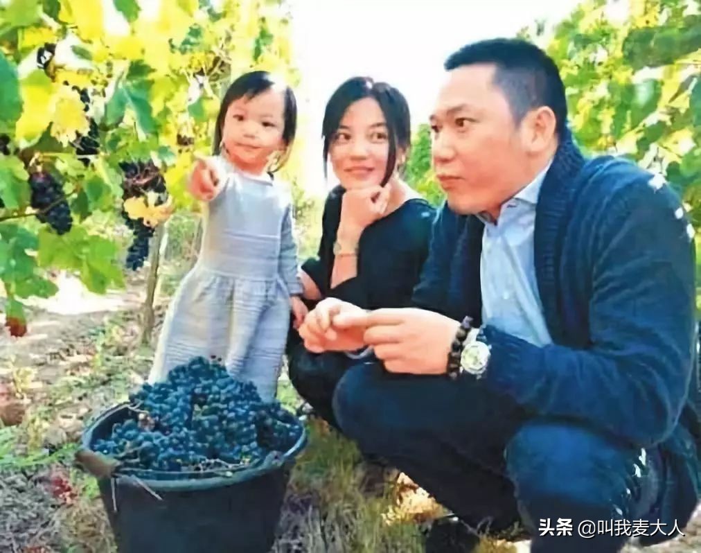 赵薇为啥还能上综艺,赵薇最新消息要回娱乐圈了吗