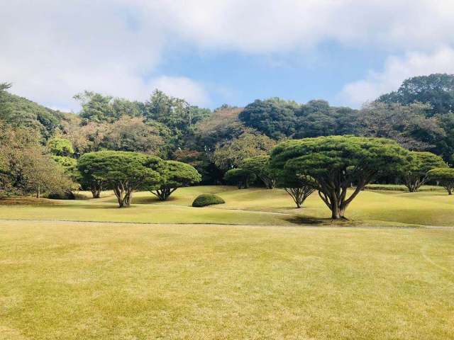 东京到镰仓和箱根攻略,东京箱根富士山镰仓