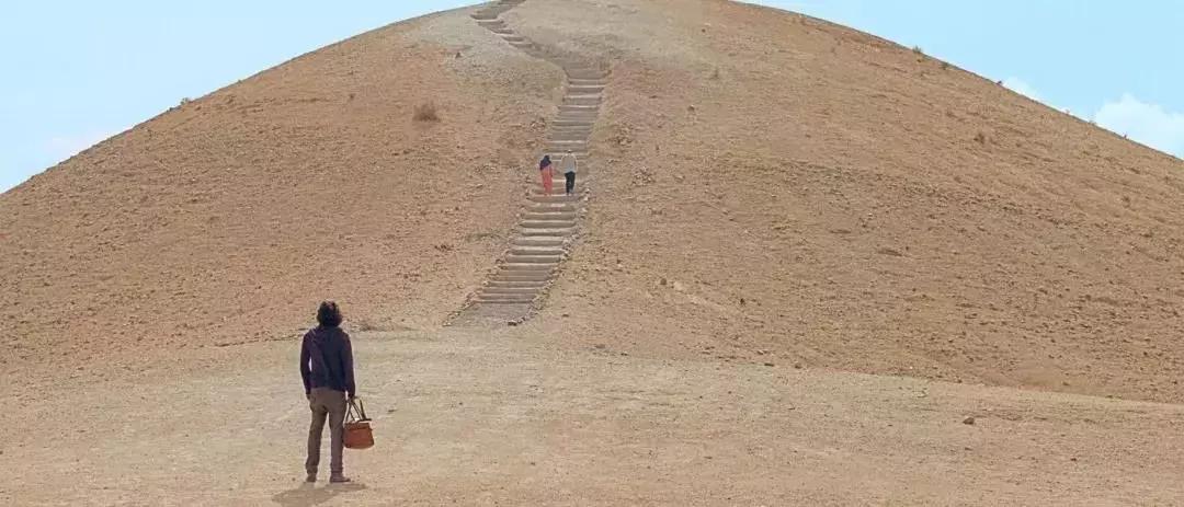 第72届戛纳电影节完整版,2022年戛纳最佳电影