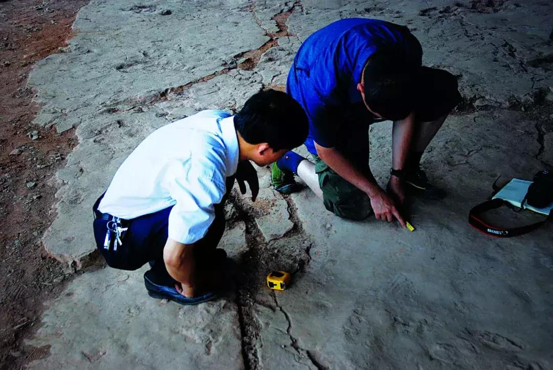 快去綦江的莲花保寨看看,那儿发生了一件事儿