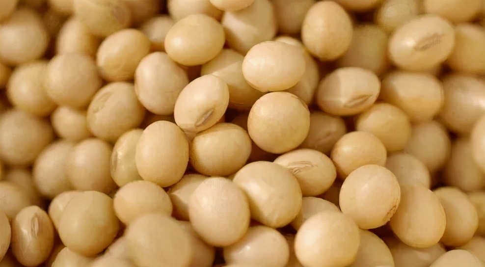 长期吃诱发肾衰竭的食物,阿伯吃东西