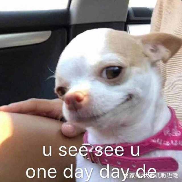 表情包我能怎么办,那我怎么办表情包可爱