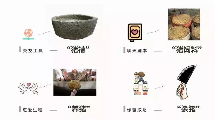 虫草姑娘卖茶女骗局,虫草姑娘卖茶被骗