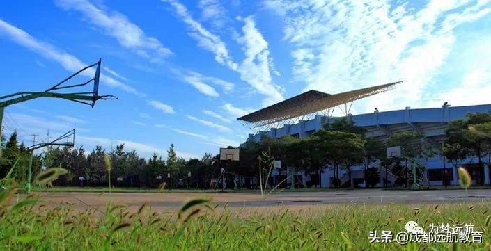 985学校艺术专业都有哪些,985综合大学的艺术专业怎么样