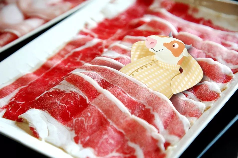 呼和浩特奶萌兽：足球摔跤样样行，体育课代表非他莫属丨Mr.Data