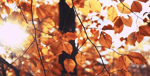 韩国小灯泡美白精华怎么样,韩国小灯泡精华抗皱效果