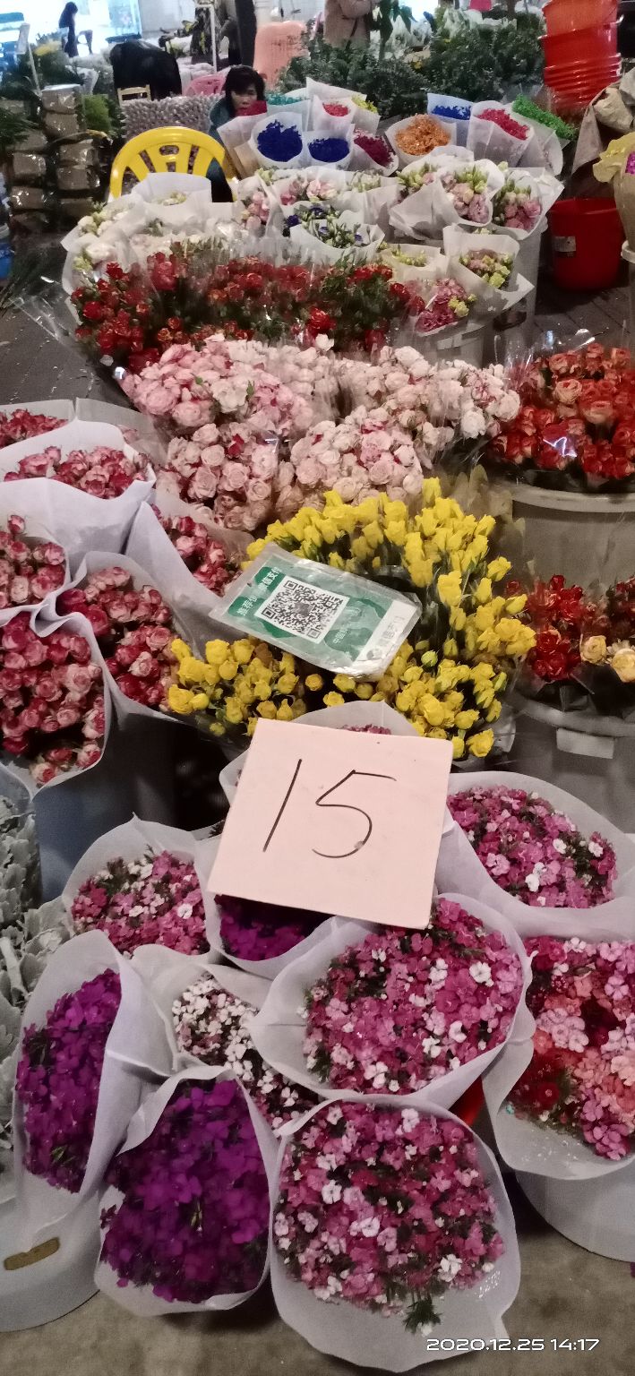 逛岭南花卉市场攻略,岭南芳村花卉批发市场游玩的美文