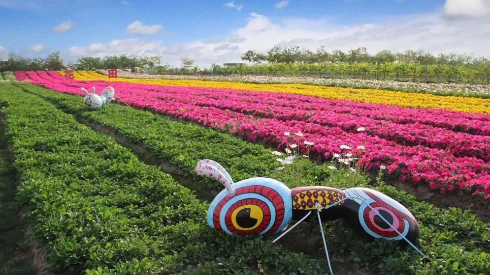 鍘嗙粡鑷虫殫鏃跺埢缁忓吀,鍘嗙粡鑷虫殫鏃跺埢