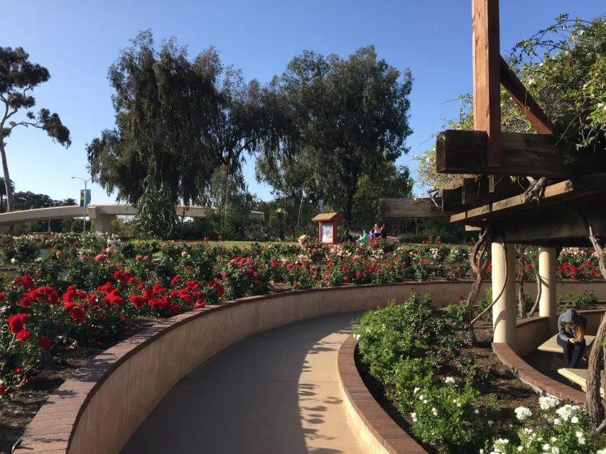 怎样去美国打工合法,美国留学打工政策