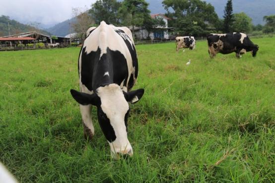 6月份去台湾旅游攻略,台湾垦丁一日旅游攻略大全