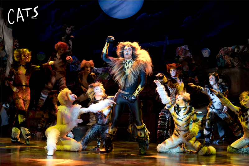 天津大剧院音乐剧演出,天津音乐剧2020