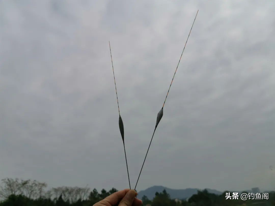 两百块的浮漂,一两百块钱的鱼漂